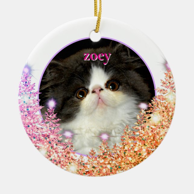 Personalize pet ornament pink sparkling glitter (Front)
