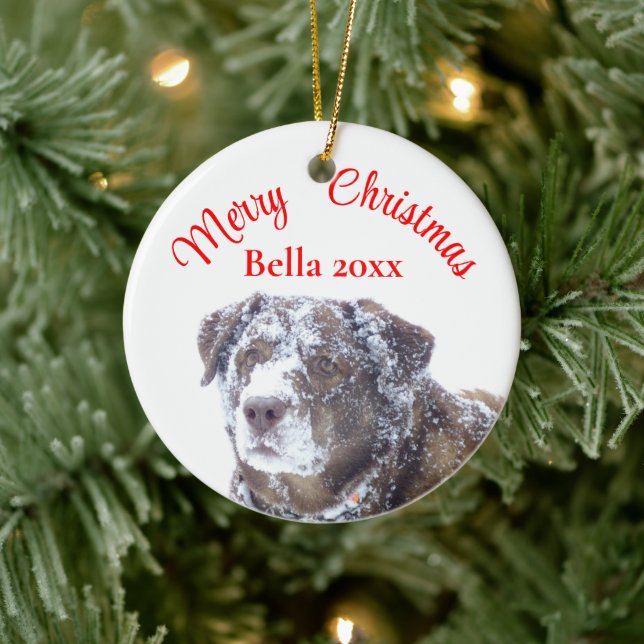 Personalize pet photo template ceramic ornament (Tree)