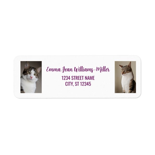 Personalize Photos w/ Cat Modern Return Address (Front)
