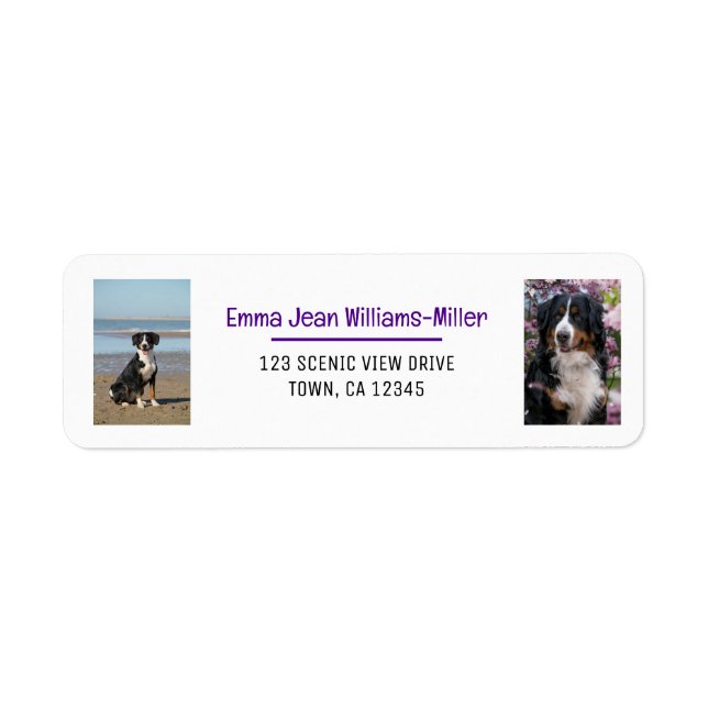 Personalize Photos w/ Dog Modern Return Address (Front)