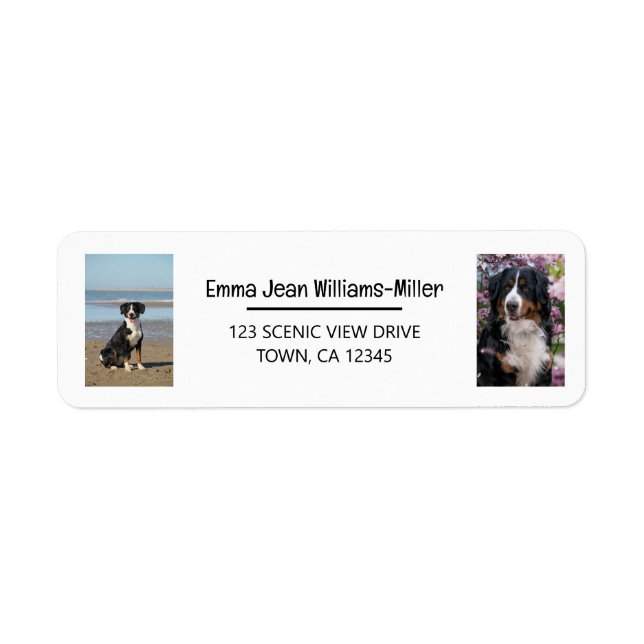 Personalize Photos w/ Dog Modern Return Address (Front)