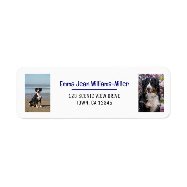 Personalize Photos w/ Dog Modern Return Address (Front)