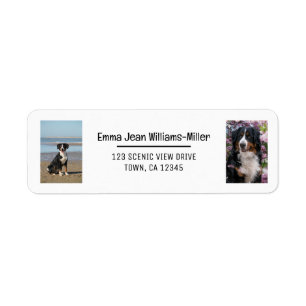 Personalize Photos w/ Dog Modern Return Address