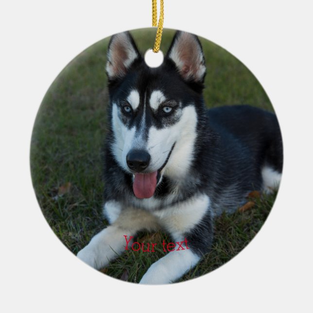 Personalize Siberian Husky puppy Ceramic Ornament (Front)