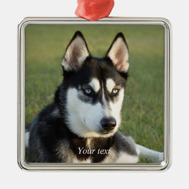 Personalize Siberian Husky puppy portrait Metal Ornament (Front)