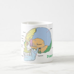 Personalize Skull Anatomy Mug
