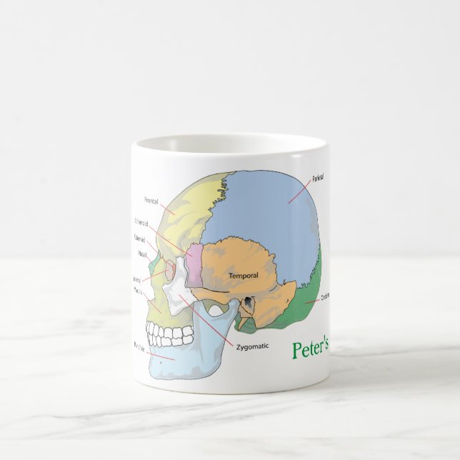 Personalize Skull Anatomy Mug (Center)