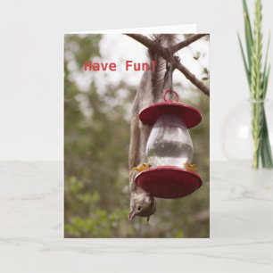 Personalize Squirrel upside down on the feeder Card
