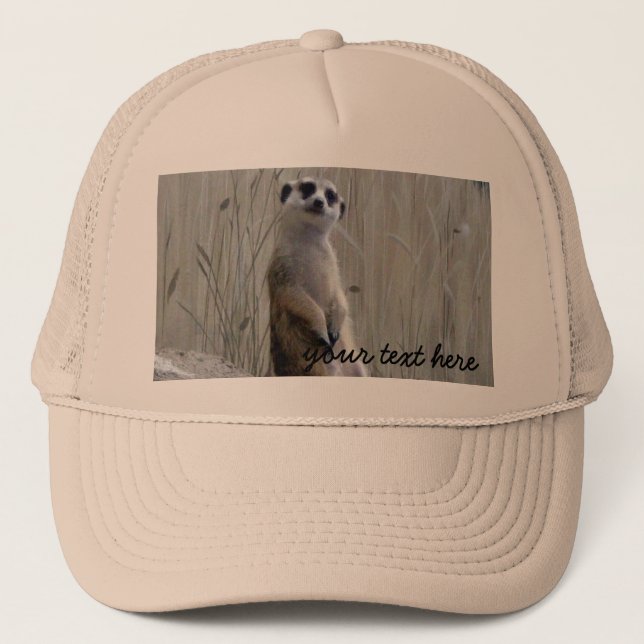 Personalize this cute meerkat trucker hat (Front)
