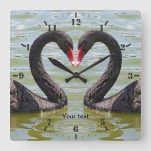 Personalize Two Black Swans birds in heart shape Square Wall Clock