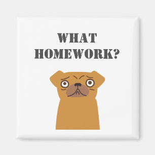 Personalize What Homework? Magnet