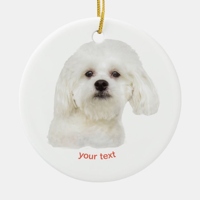 Personalize white  Maltese puppy Ceramic Ornament (Front)