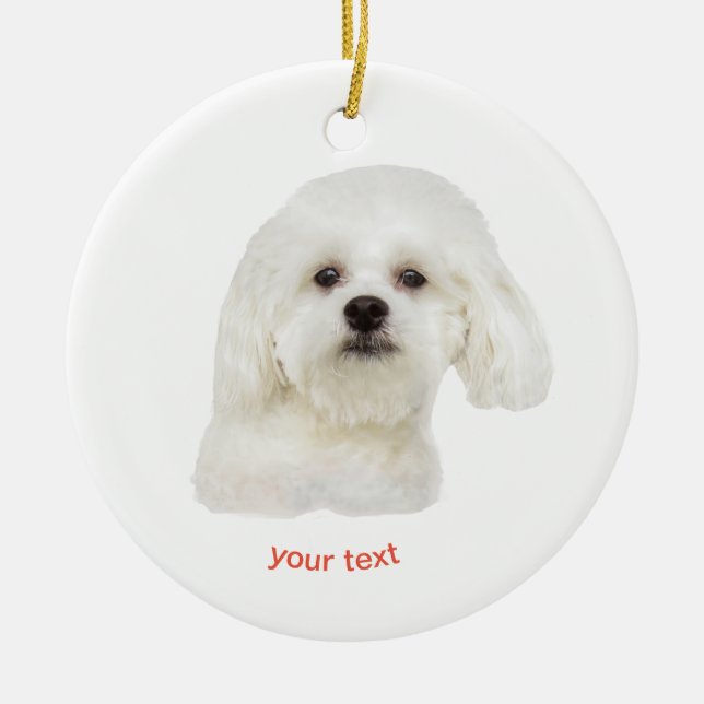 Personalize white  Maltese puppy Ceramic Ornament (Front)