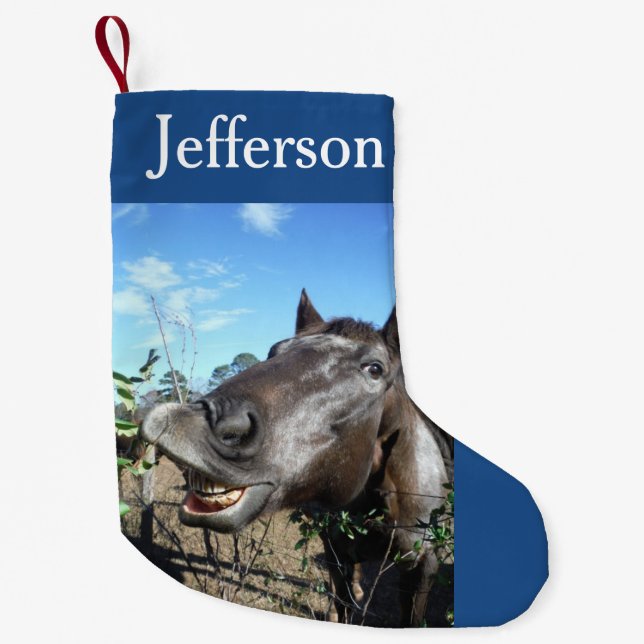 Personalize with Name ,Funny face Christmas Horse Small Christmas Stocking (Front)