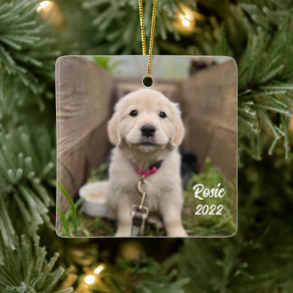 Personalize with Your Pet Picture Ceramic Ornament