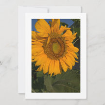 Personalize Your Card Custom Invitation