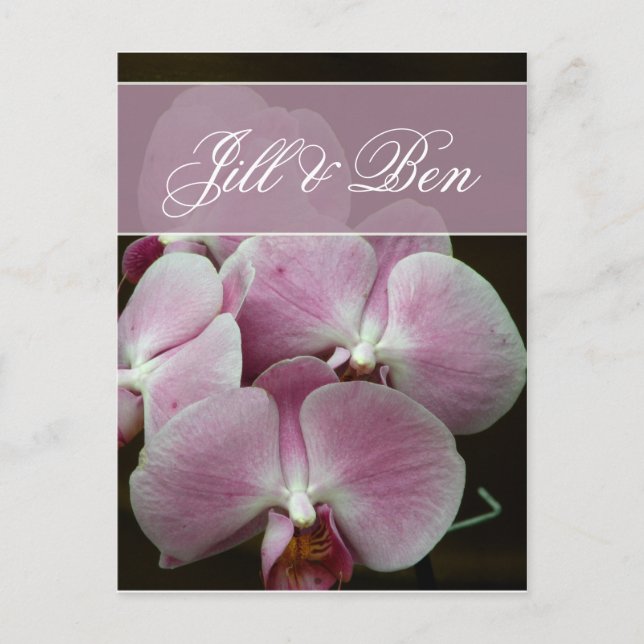 Personalize your own orchid design postcard (Front)