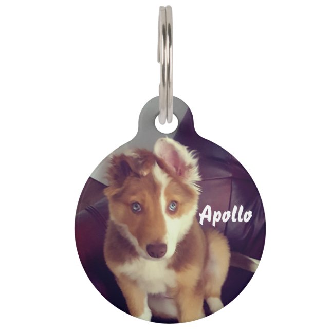 Personalize your own pet tag (Front)