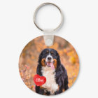 Personalized 2 Photo Pet Dog Lover 