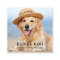 Personalized 3 Photo Modern Social Media QR Code
