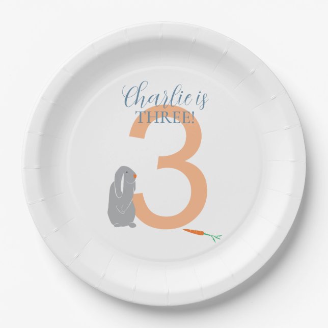 Personalized 3rd Birthday Modern Grey Bunny Plates (Front)