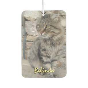 Personalized Add Name and Photo Car Air Freshener