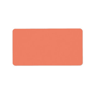 Personalized Address Labels Quick Shipping