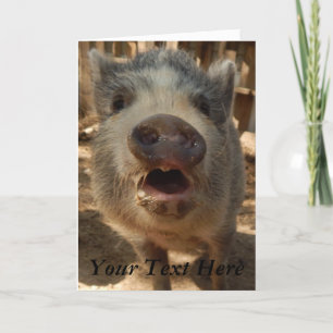 Personalized Adorable Mini Pig Greeting Card, Card