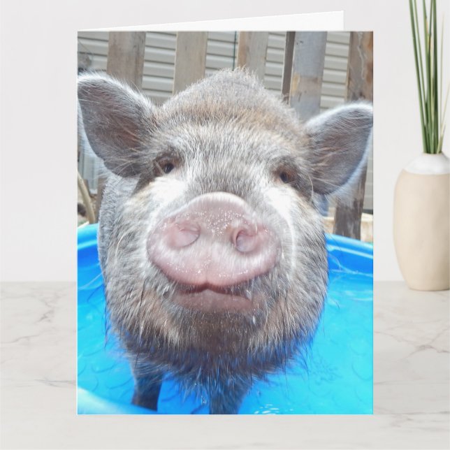 Personalized Adorable Mini Pig Greeting Card, Card (Front)