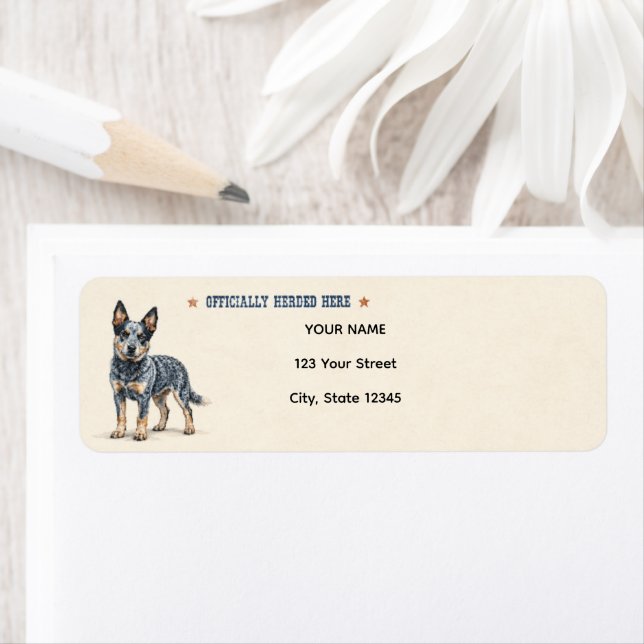 Personalized Australian Cattle Dog (Insitu)