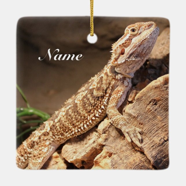 Personalized Baby Bearded Dragon Lizard Ceramic Ornament (Back)