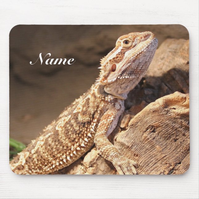 Personalized Baby Bearded Dragon Lizard Mouse Pad (Front)