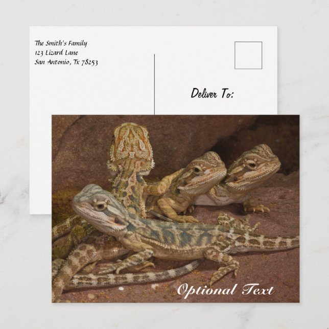 Personalized Baby Bearded Dragon Lizard Postcard (Front/Back)