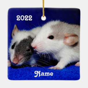 Personalized Baby Fancy Pet Rat Pups Ceramic Ornament