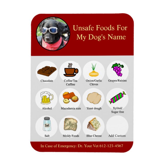 Personalized Bad Foods For Dogs Reminder Magnet (Vertical)
