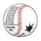 Personalized Baseballs with Coach, Player's NAMES