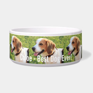 Personalized Beagle Dog Photo and Dog Name