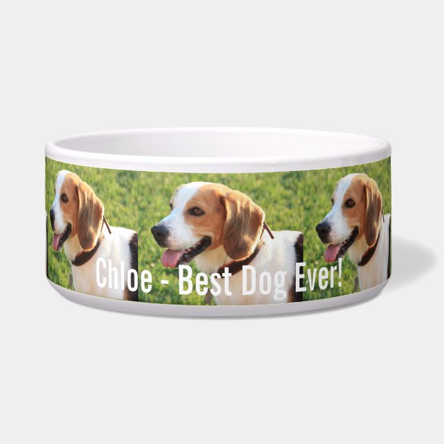 Personalized Beagle Dog Photo and Dog Name (Front)