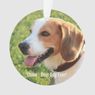 Personalized Beagle Dog Photo and Dog Name Ornament