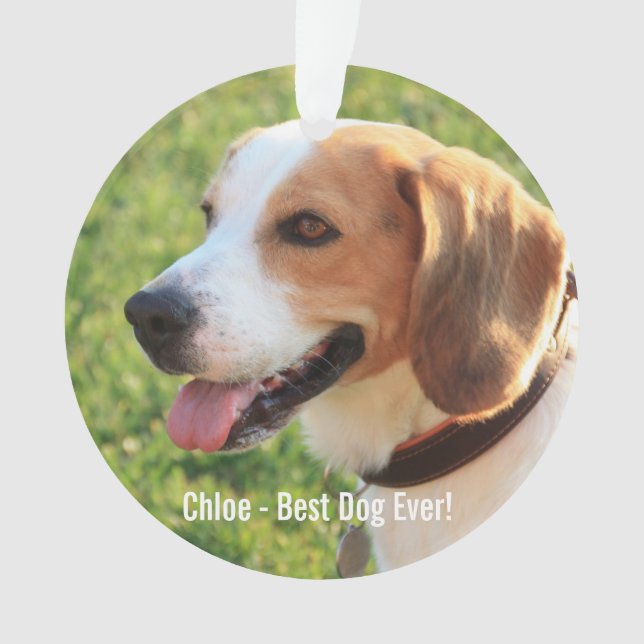 Personalized Beagle Dog Photo and Dog Name Ornament (Front)