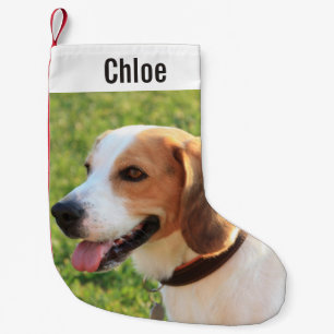 Personalized Beagle Dog Photo and Dog Name Small Christmas Stocking