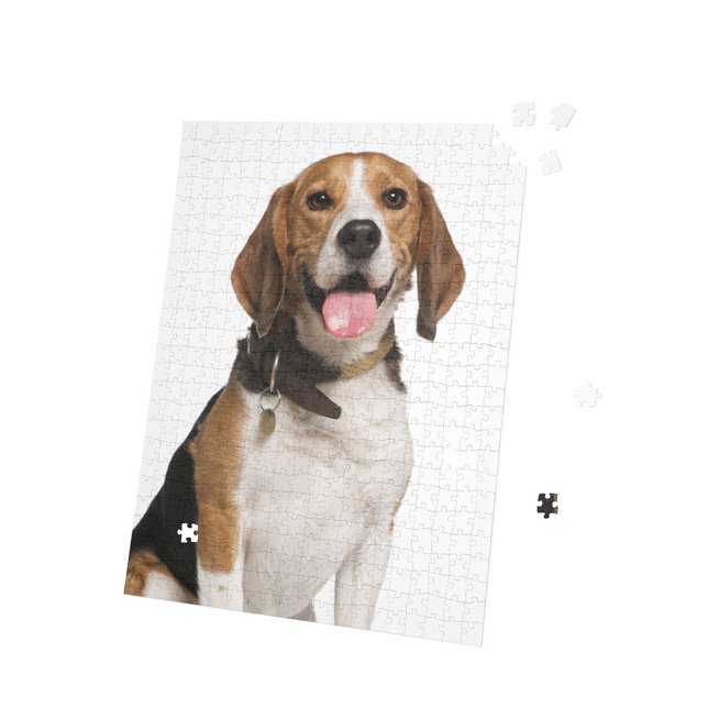 Personalized Beagle Dog Photo Jigsaw Puzzle (Creator Uploaded)