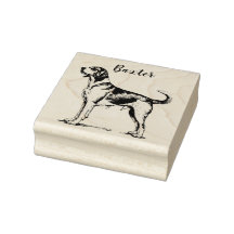 Personalized Beagle