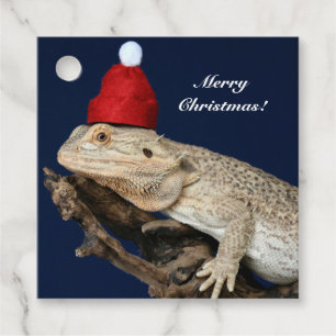 Personalized Bearded Dragon Lizard - Santa Hat Favour Tags