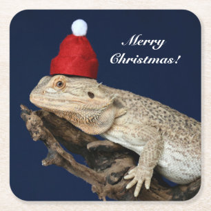 Personalized Bearded Dragon Lizard - Santa Hat Square Paper Coaster