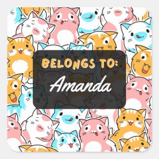 Personalized BELONGS TO Cat Square Sticker