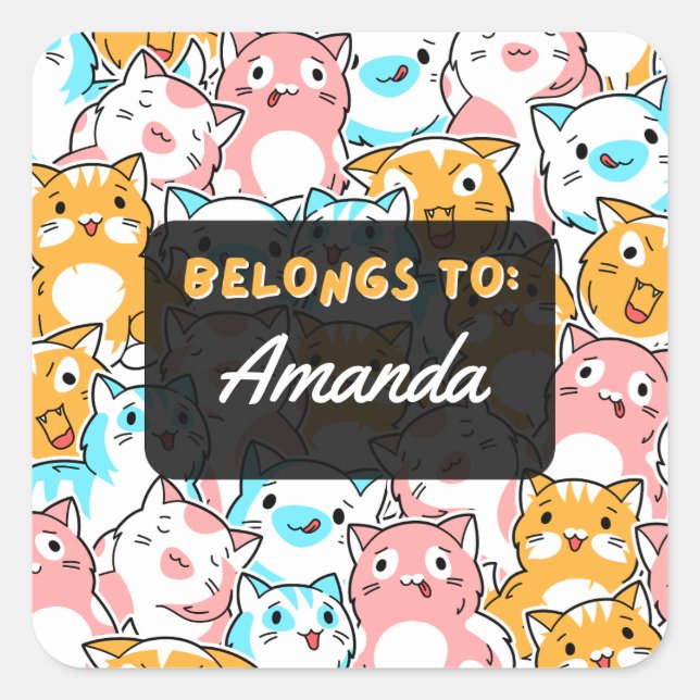 Personalized BELONGS TO Cat Square Sticker (Front)