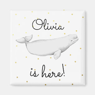 Personalized Beluga Whale New Baby Shower Magnet