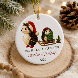 Personalized Big Sister Little Sister Hedgehog  Ceramic Ornament