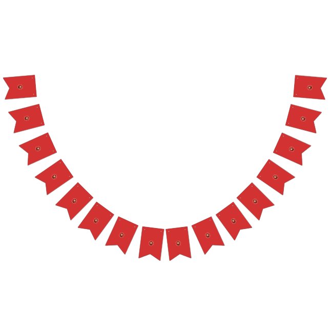 Personalized Birthday & Wedding Bunting Banners (All)